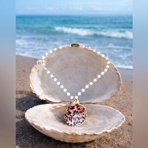 Shell necklace with faux pearl chain magnetic clasp 16” choker style